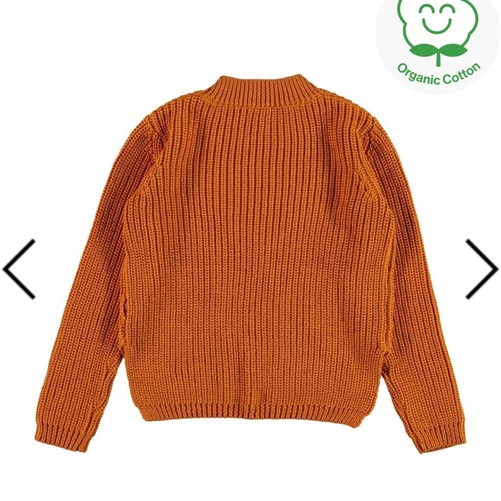 Molo Kids' Organic Cotton Sweater - Autumn brown Euro 110/116 U.S. 5 to 6 years - Picture 3 of 6